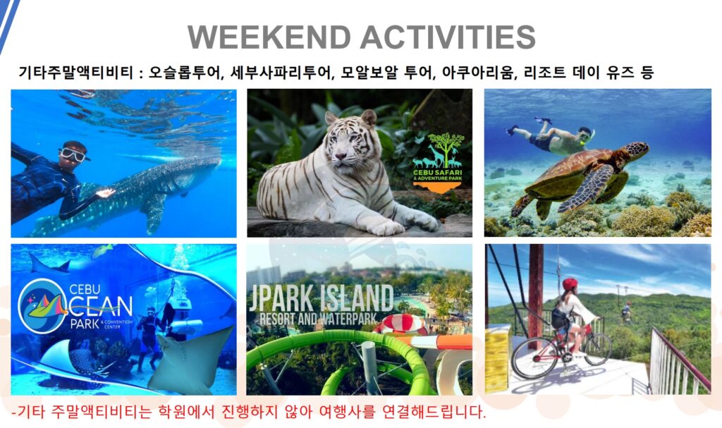 필리핀 영어 가족캠프 블루오션 어학원 성수기 가족캠프